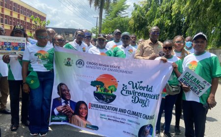 C'River Reaffirms Commitment to Environmental Sustainability