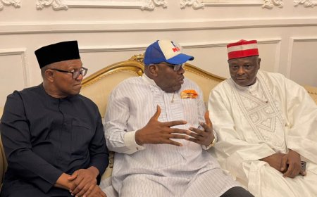 Trouble Brews in NDC as Kwankwaso Threatens Exit Over Candidate Swap