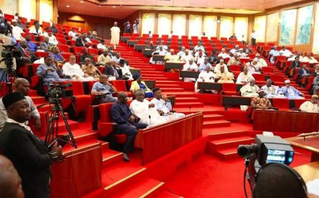 11th Senate To Consider Six-year Single Term For President, Govs, Says Lawmaker
