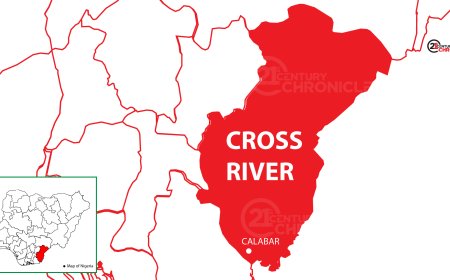 Cameroonian Troops Spark Tension in C'River Community