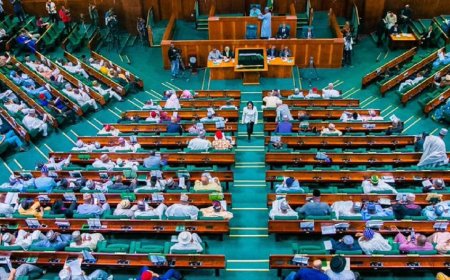 Reps Pass State Police Bill