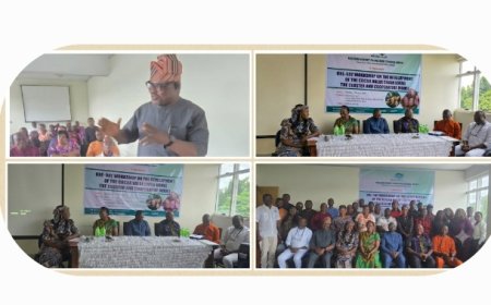 C'River: NEPC Seeks Stronger Ties to Boost Cocoa Production