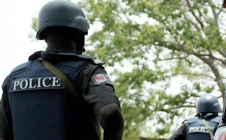 Governors Back State Police, Constitution Amendments