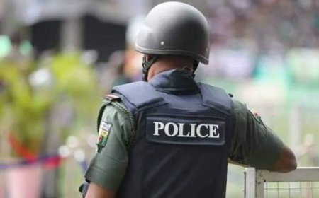 State Police: 36 Governors Demand More Security Powers From FG