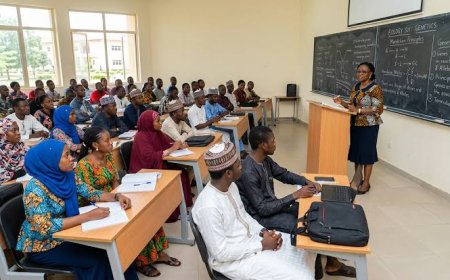 EDUCATION: 7 Best Universities in Nigeria