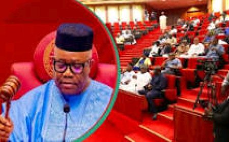 JUST IN: Senate Passes Bill Establishing State Police ‎