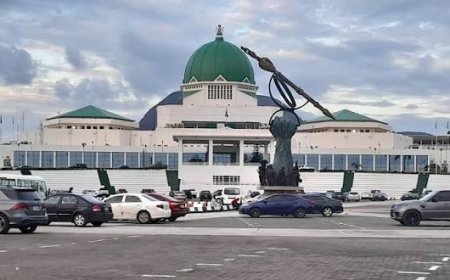 State Police: How NASS Caged Governors From Becoming "Emperors"