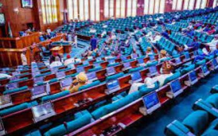 Reps Demand Answers From FERMA Over South-South Roads