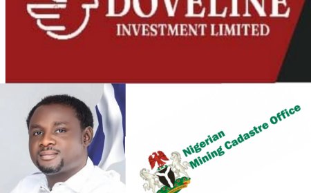 DOVELINE, PAUL EFFIONG, THE DANGER OF TURNING PUBLIC OFFICE INTO A PRIVATE ENTERPRISE