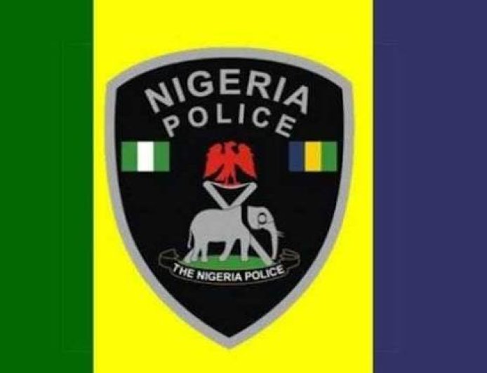 Police Summon Activist Over Viral Oghenemine Shooting Video