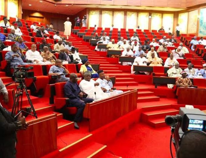 11th Senate To Consider Six-year Single Term For President, Govs, Says Lawmaker