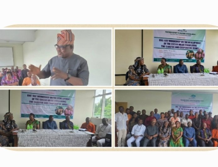C'River: NEPC Seeks Stronger Ties to Boost Cocoa Production