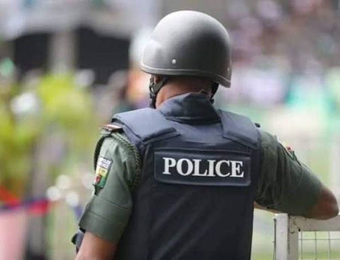 State Police: 36 Governors Demand More Security Powers From FG