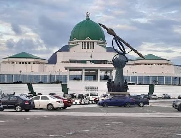 State Police: How NASS Caged Governors From Becoming "Emperors"