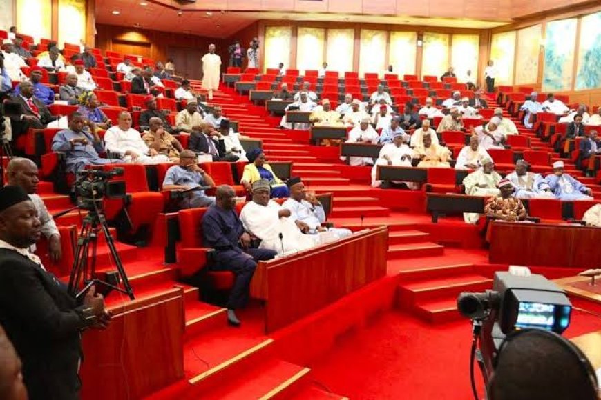 11th Senate To Consider Six-year Single Term For President, Govs, Says Lawmaker