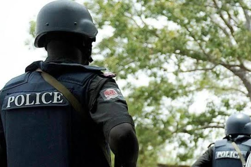 Governors Back State Police, Constitution Amendments