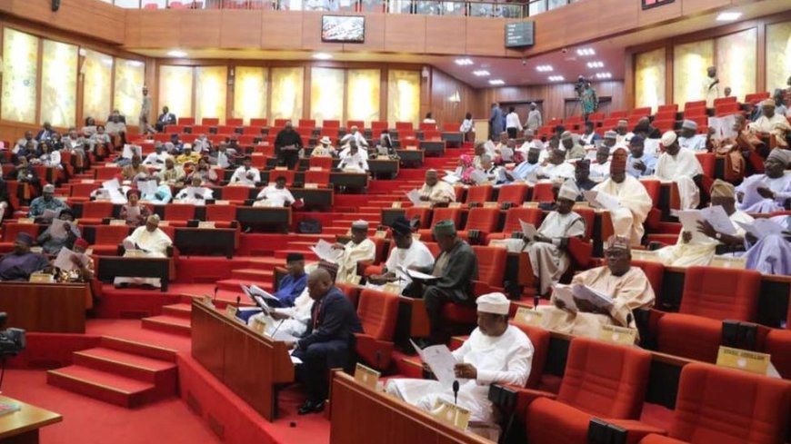 Senate Leadership Looking Into Casses of Senators Who Lost Primaries Says Akapbio