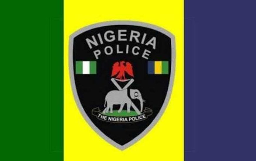Police Summon Activist Over Viral Oghenemine Shooting Video
