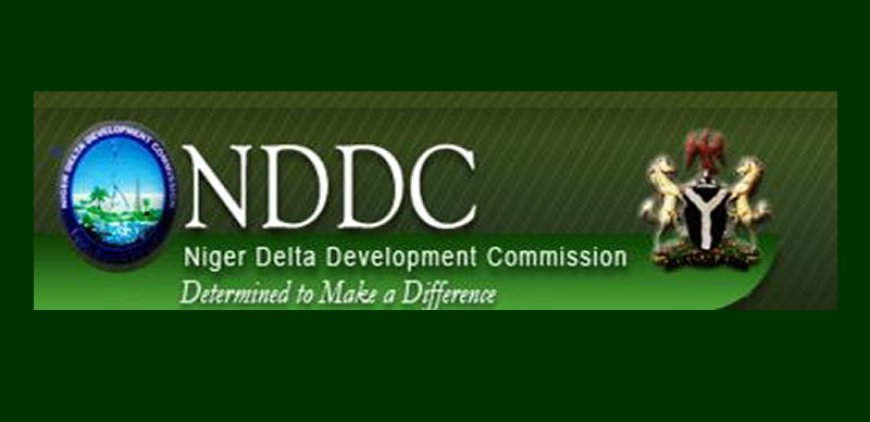 Over 400 NDDC postgraduate scholars decry unpaid scholarship funds, issue 7-day ultimatum