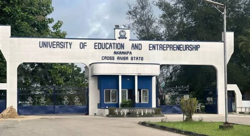 NUC Approves 14 Programmes For C'River State University of Education, Entrepreneurship