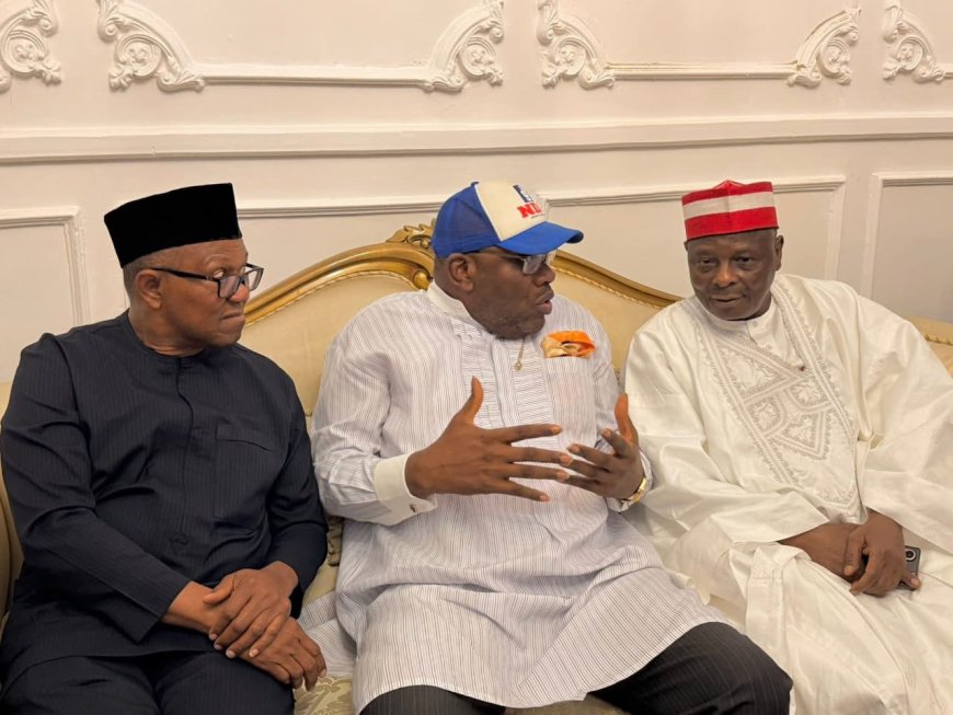 Trouble Brews in NDC as Kwankwaso Threatens Exit Over Candidate Swap