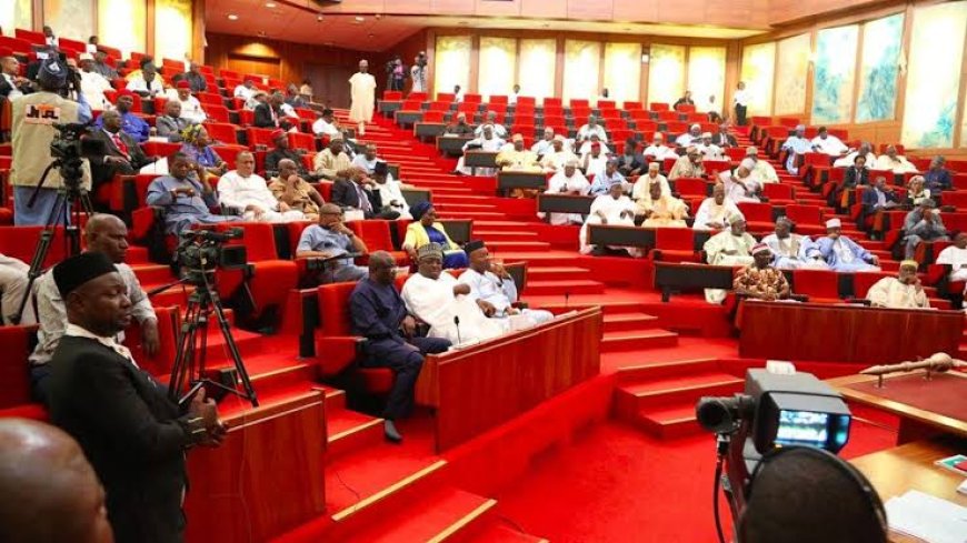 11th Senate To Consider Six-year Single Term For President, Govs, Says Lawmaker