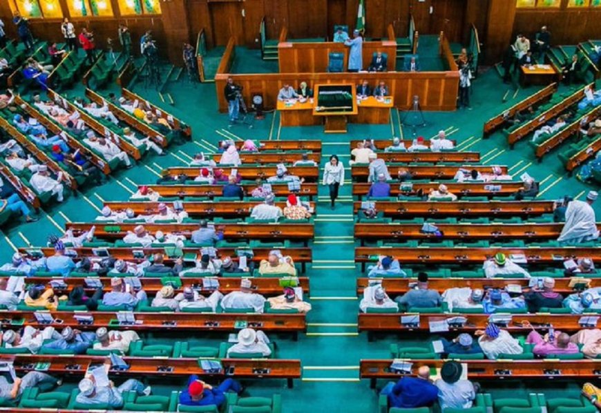 Reps Pass State Police Bill