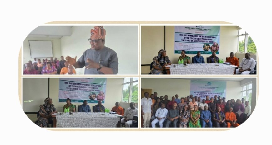 C'River: NEPC Seeks Stronger Ties to Boost Cocoa Production