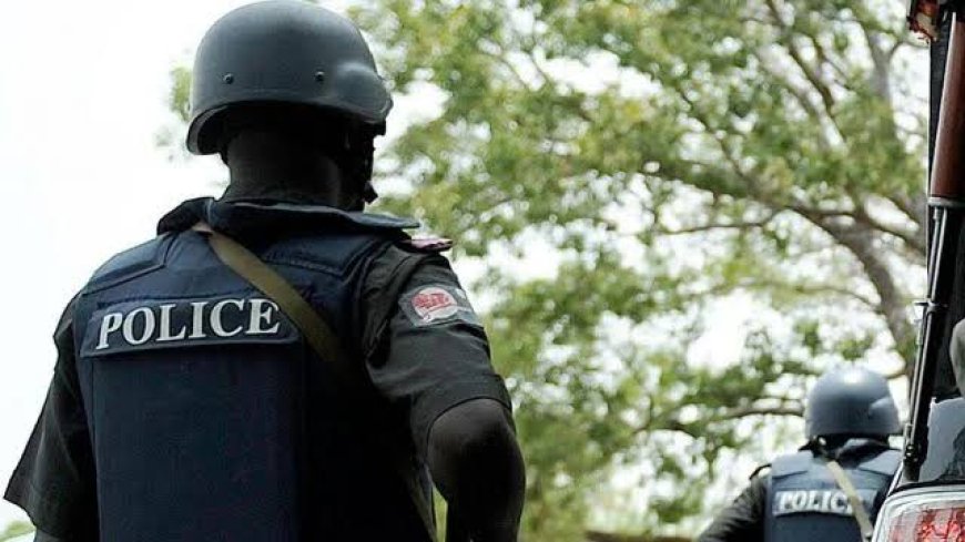 Governors Back State Police, Constitution Amendments
