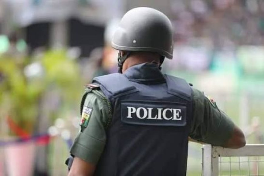 State Police: 36 Governors Demand More Security Powers From FG