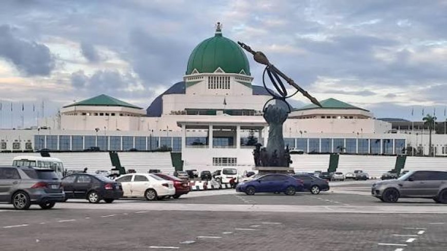 State Police: How NASS Caged Governors From Becoming "Emperors"
