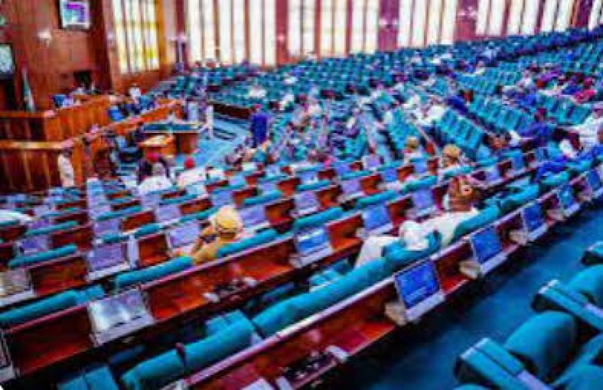 Reps Demand Answers From FERMA Over South-South Roads