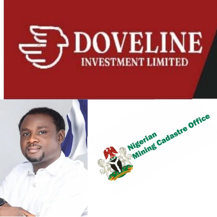 DOVELINE, PAUL EFFIONG, THE DANGER OF TURNING PUBLIC OFFICE INTO A PRIVATE ENTERPRISE