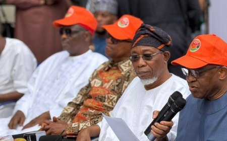 Fed High Court Affirms ADC Mark Leadership
