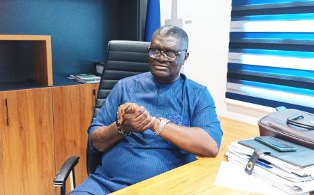 Fake Appointment Letters Behind LG Salary Protest, Cross River Insists