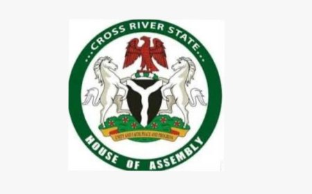 C'River Assembly Passes Health Quackery (Prohibition) Bill, 2026
