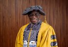 Executive Intervention, Institutional Autonomy, And The Credibility of Nigeria’s Democratic Process