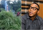 Sowore Calls for Cannabis Legalization, Slams NDLEA Over Farm Destruction