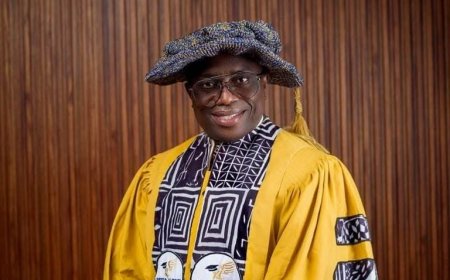 Executive Intervention, Institutional Autonomy, And The Credibility of Nigeria’s Democratic Process