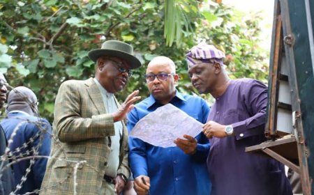 Maitama Flood: Wike Orders Demolition of Houses Blocking Water Channels