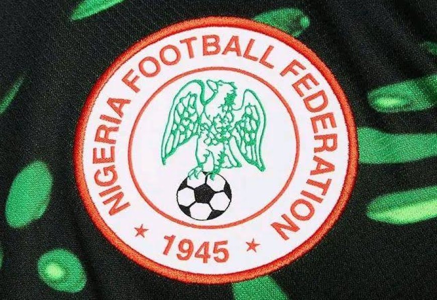 Nigeria: NFF Probe Uncovers Deep-Seated Rot, Calls for Sweeping Reforms in Nigerian Football