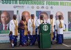 S/South Govs Seek Stronger Regional Economic Integration