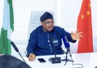 Electricity: ‘Nigerians Tell Me to Slow Down, Freezers Are Freezing’ - Power Minister