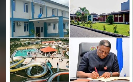 OPINION: Assets Recovery: Flagship of Otu's Restoration Agenda