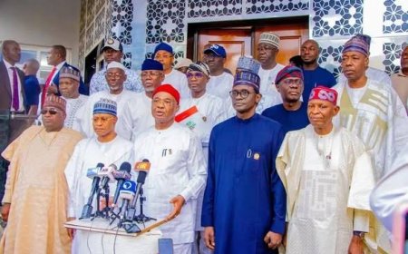 RAINBOW COALITION: APC Governors Draw Battle Line With Wike