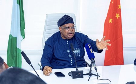 Electricity: ‘Nigerians Tell Me to Slow Down, Freezers Are Freezing’ - Power Minister