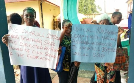 266 UNICAL Staff Protest 7 Years Unpaid Salaries, Non-Enrollment in IPPIS
