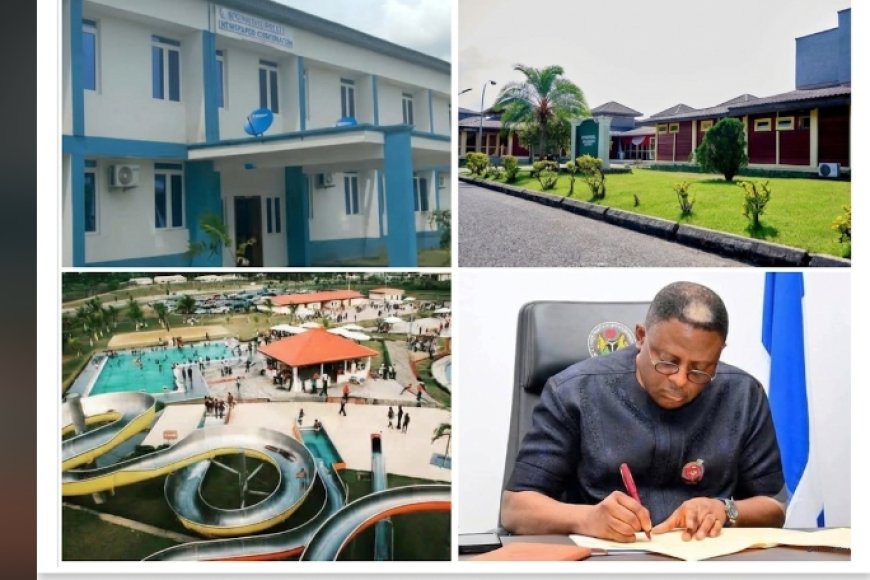 OPINION: Assets Recovery: Flagship of Otu's Restoration Agenda
