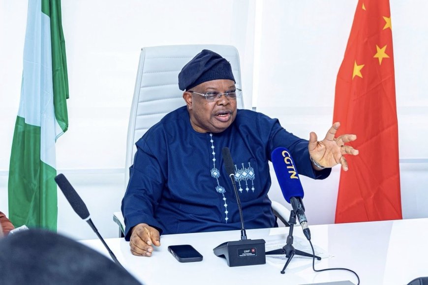 Electricity: ‘Nigerians Tell Me to Slow Down, Freezers Are Freezing’ - Power Minister