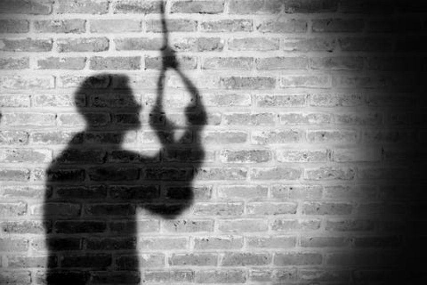 OPINION: Why the National Assembly must Ratify Decriminalising Attempted Suicide